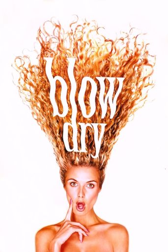  Blow Dry Poster
