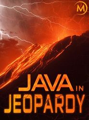  Risiko Vulkan - Der Feuerberg von Java Poster