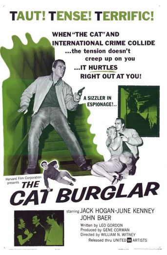  The Cat Burglar Poster