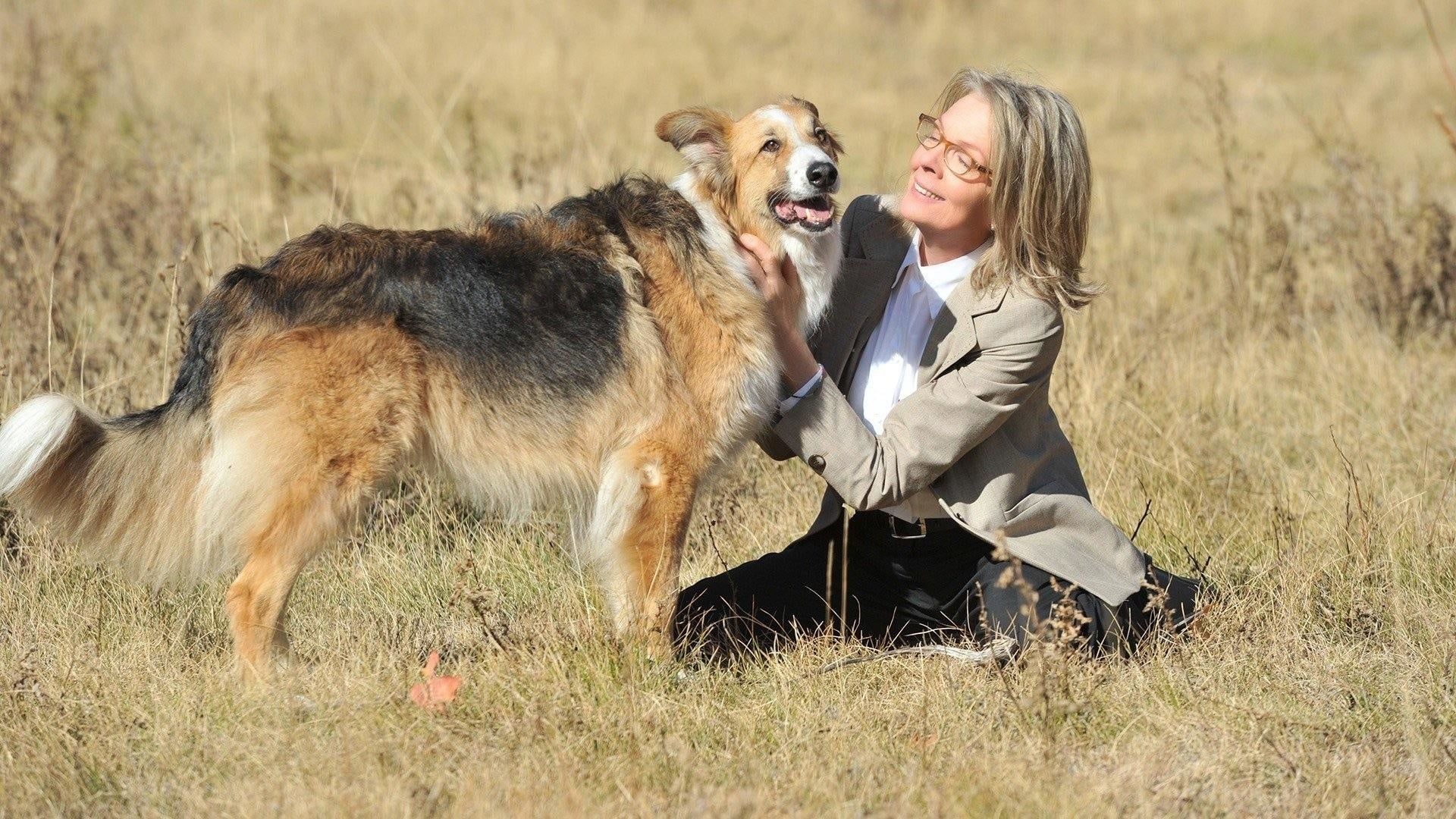 Darling Companion Backdrop