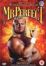  The Life and Times of Mr. Perfect Poster