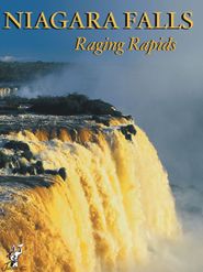  Niagara Falls Raging Rapids Poster