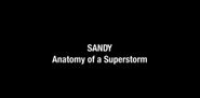  Sandy: Anatomy of a Superstorm Poster