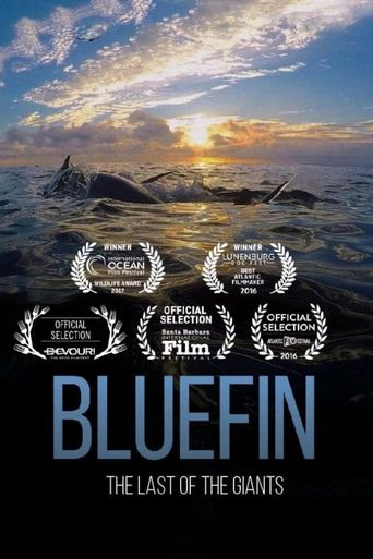 Bluefin Poster