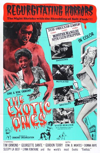 The Exotic Ones Poster