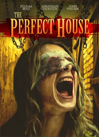  The Perfect House Poster