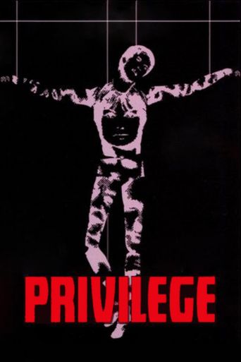  Privilege Poster