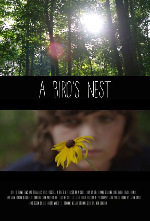A Bird's Nest Poster