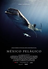  México Pelágico Poster