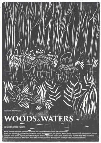 Woods & Waters Poster