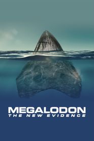  Megalodon: The New Evidence Poster