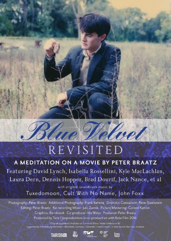  Blue Velvet Revisited Poster