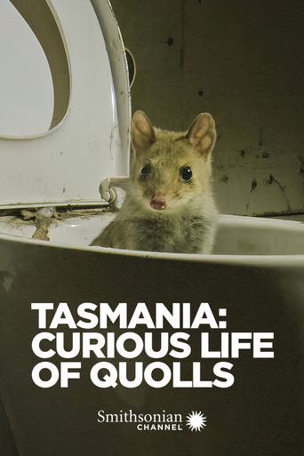  Tasmania: Curious Life of Quolls Poster