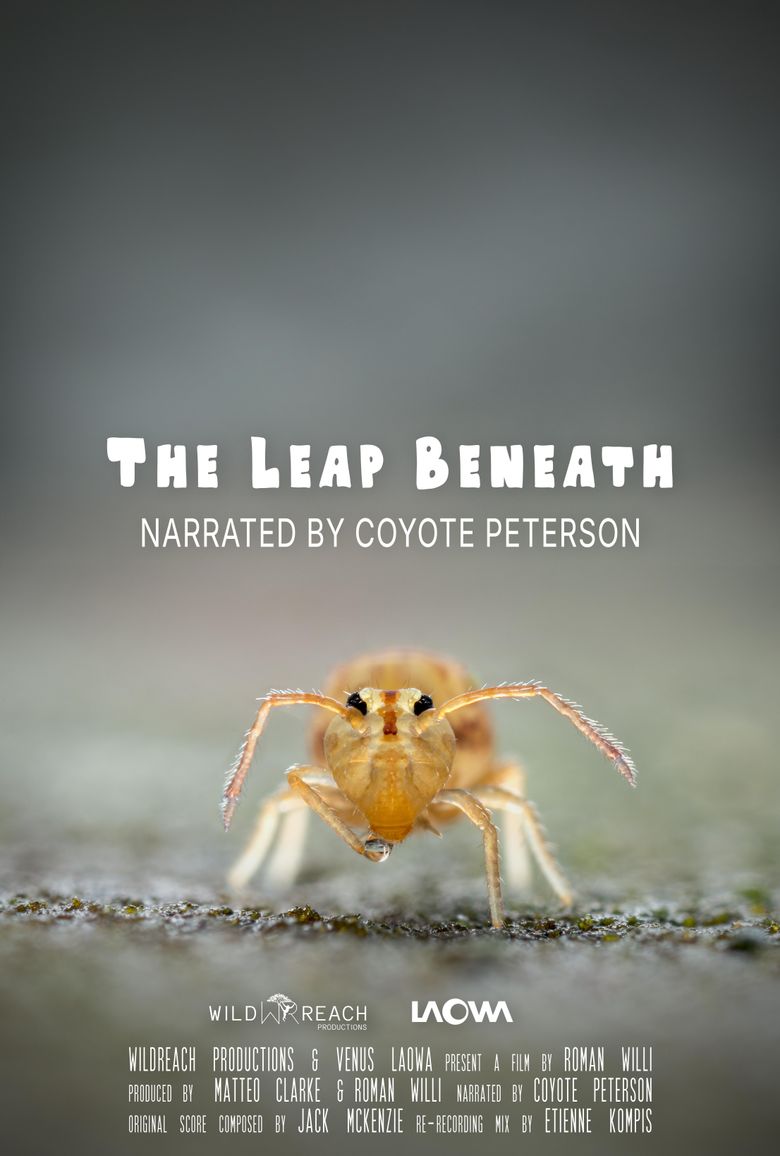 The Leap Beneath