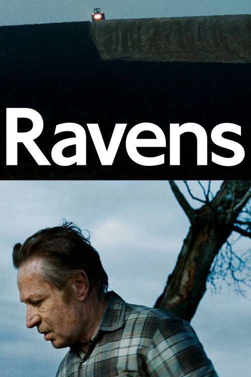 Ravens Poster