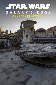  Star Wars Galaxy's Edge: Adventure Awaits Poster