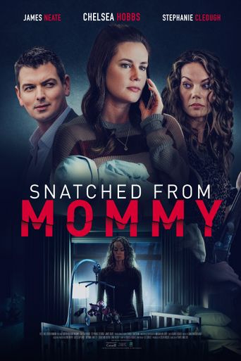  Snatched from Mommy Poster