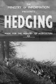  Hedging Poster