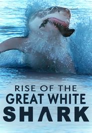  Rise Of The Great White Shark Poster