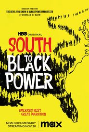  South to Black Power Poster