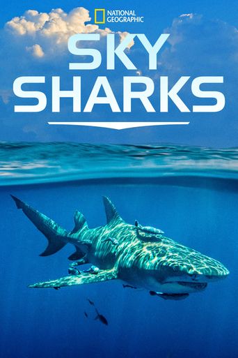  Sky Sharks Poster