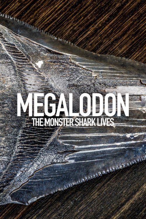 Megalodon The Monster Shark Lives Full Documentary Free