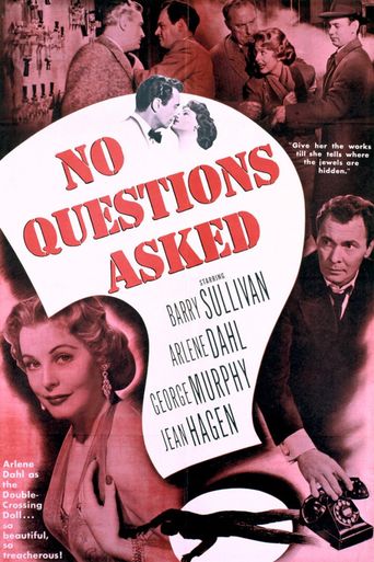  No Questions Asked Poster