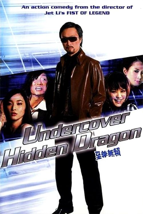 Undercover Hidden Dragon Poster