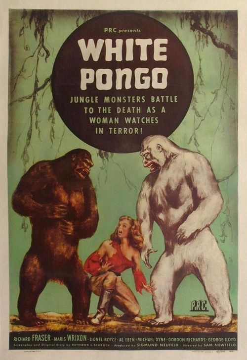 White Pongo Poster