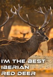  I'm the Best Iberian Red Deer Poster