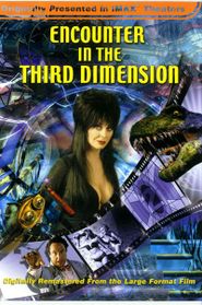  Encounter in the Third Dimension Poster