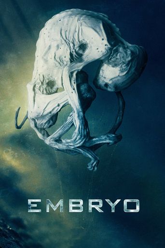  Embryo Poster