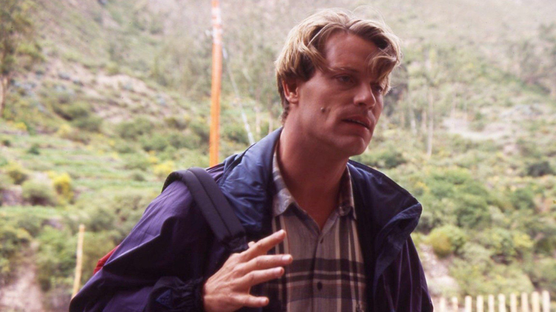 Max Is Missing (1995) - Watch on Tubi or Streaming Online | Reelgood