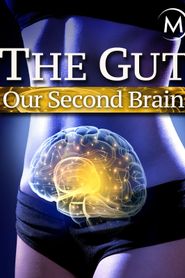 The Gut: Our Second Brain Poster