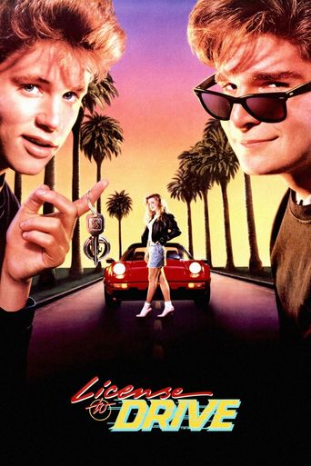  License to Drive Poster