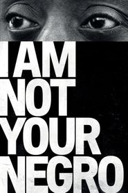  I Am Not Your Negro Poster