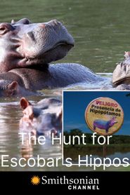 The Hunt for Escobar's Hippos Poster