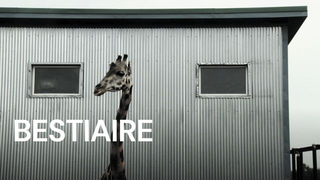Bestiaire Backdrop