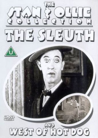  The Sleuth Poster