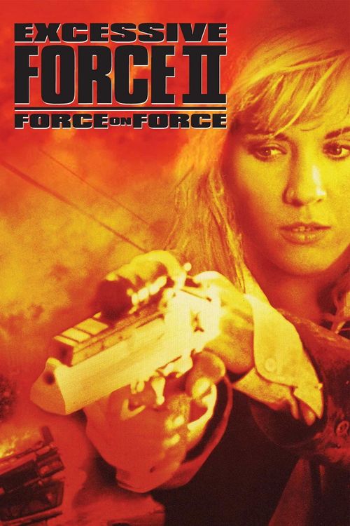 Excessive Force II: Force on Force Poster