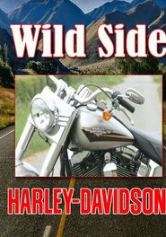  Ride on the Wild Side: Harley Davidson Poster