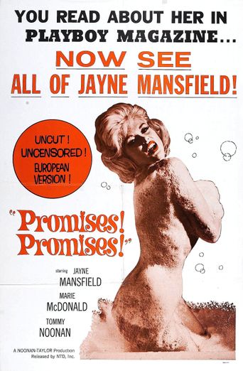  Promises..... Promises! Poster