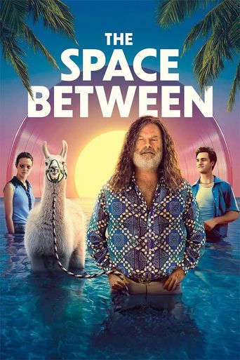  The Space Between Poster