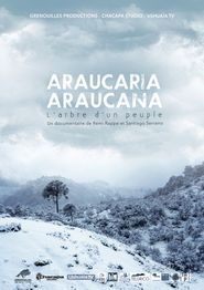  Araucaria Araucana Poster