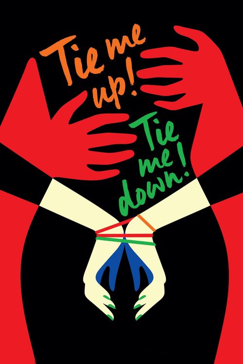 Tie Me Up! Tie Me Down! Poster