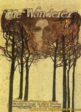  The Wanderer Poster