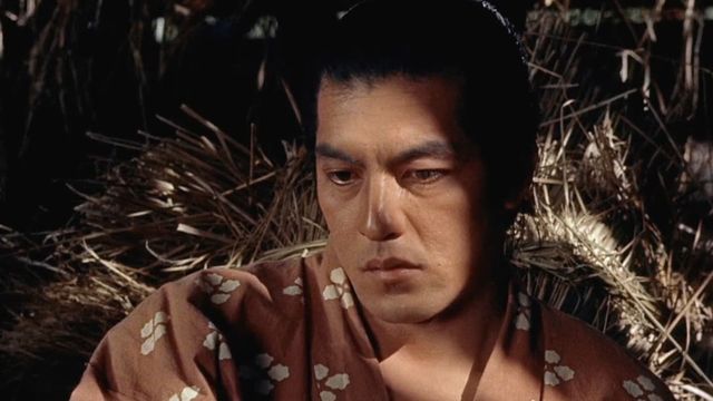 Samurai I: Musashi Miyamoto Backdrop