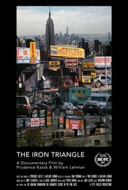  The Iron Triangle: Willets Point and the Remaking of New York Poster