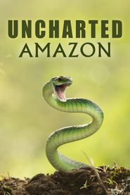  Uncharted Amazon Poster