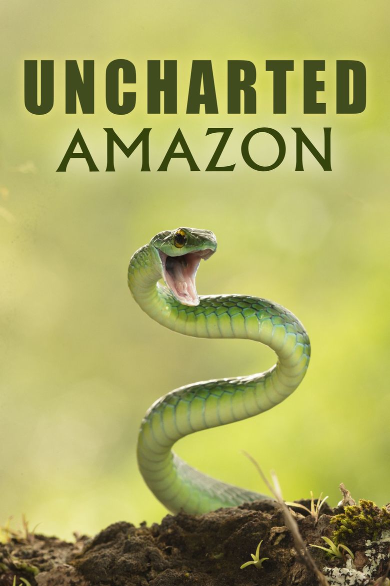 Uncharted Amazon